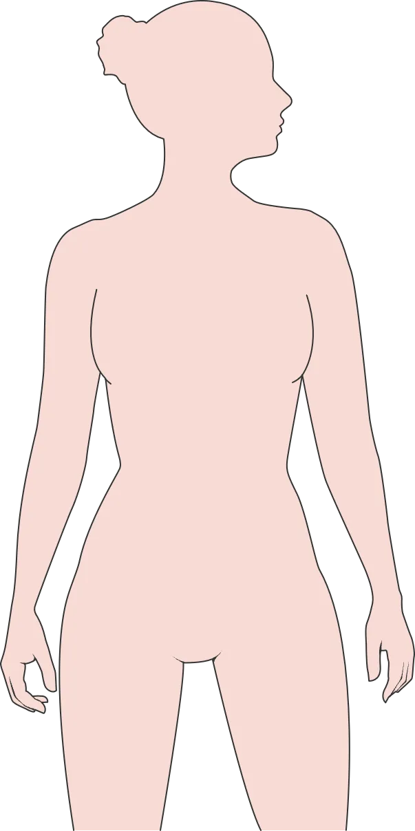 Outline of a woman's body with numbered markers on each organ